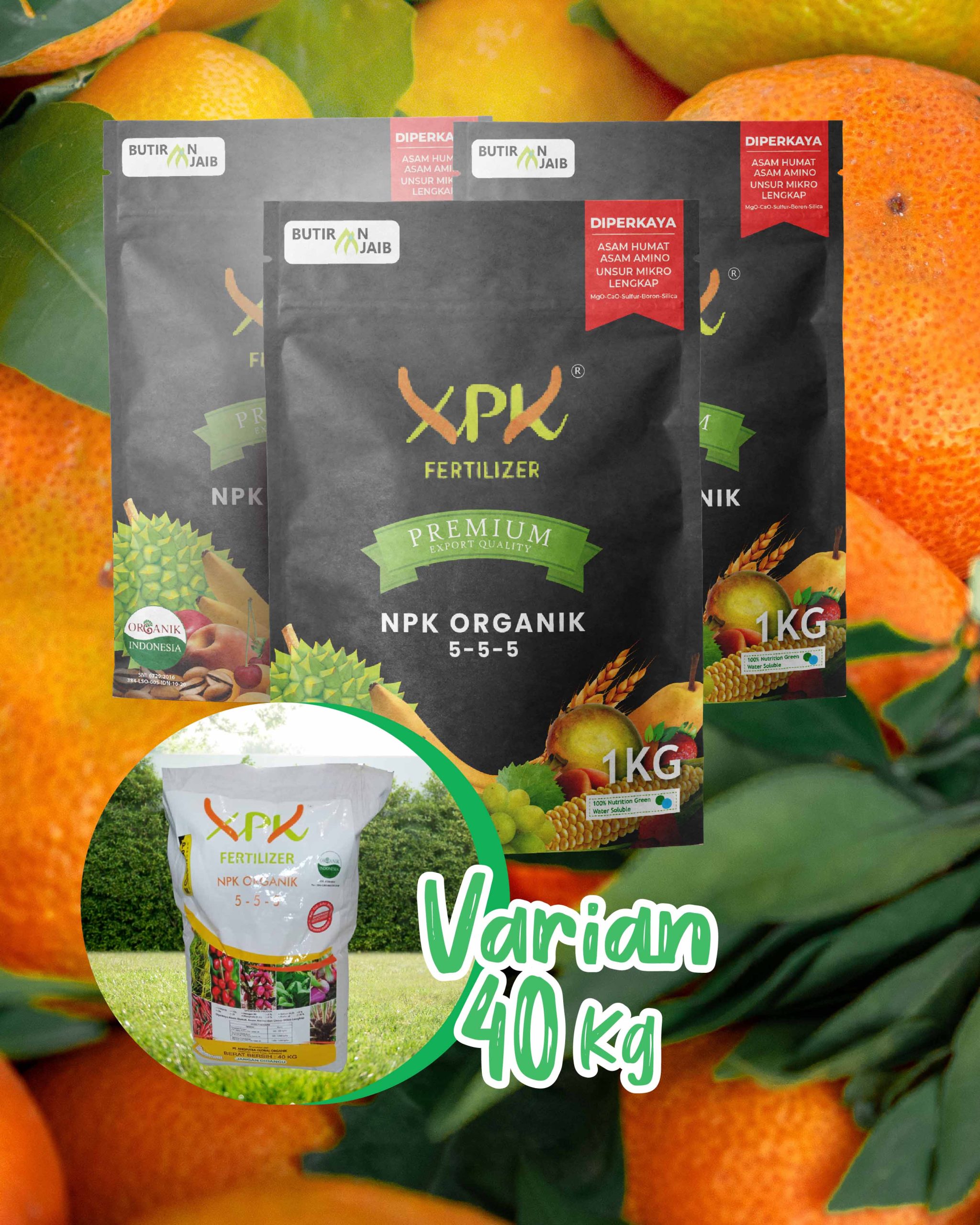 Provide full nutrition with Angputra XPK Fertilizer (Premium)